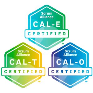 Certified Agile Leader